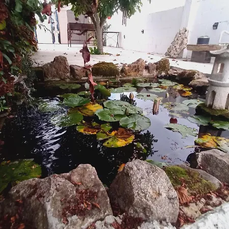 公寓 Casa Llano43 & Montana